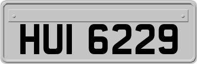 HUI6229