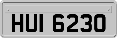 HUI6230