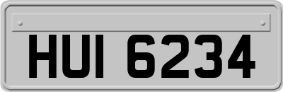 HUI6234