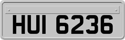 HUI6236