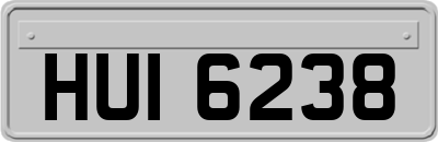 HUI6238