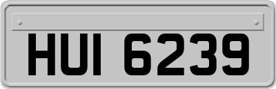 HUI6239