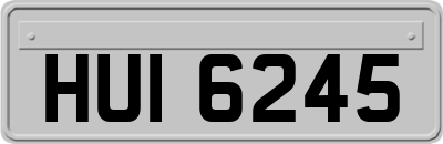 HUI6245