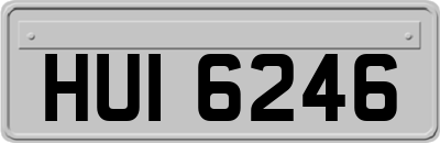 HUI6246