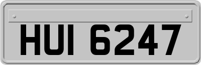 HUI6247