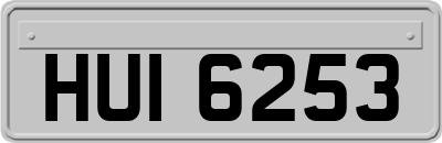 HUI6253