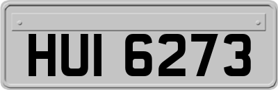 HUI6273