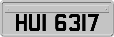 HUI6317