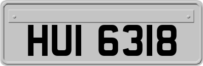 HUI6318