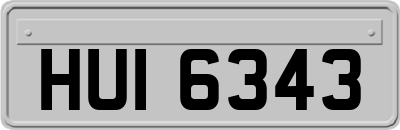 HUI6343