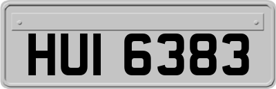 HUI6383