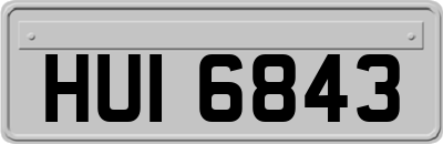 HUI6843