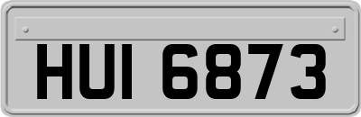 HUI6873