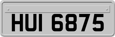 HUI6875