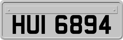 HUI6894