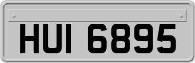 HUI6895