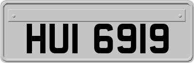 HUI6919