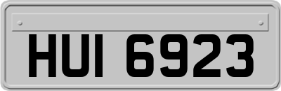 HUI6923