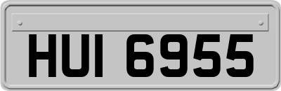 HUI6955