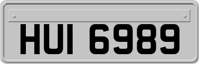 HUI6989