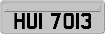 HUI7013