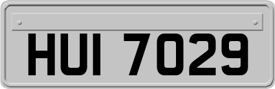 HUI7029