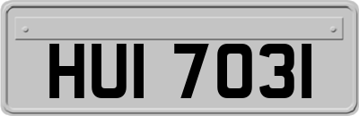 HUI7031