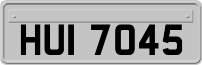 HUI7045