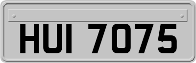 HUI7075