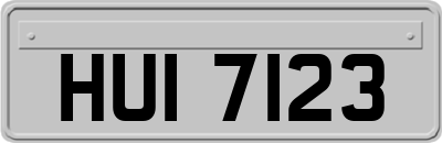 HUI7123