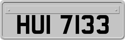 HUI7133