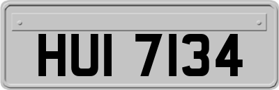 HUI7134