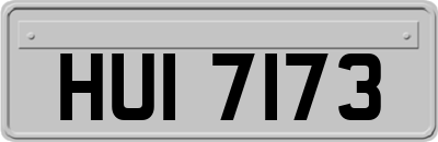 HUI7173