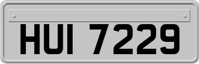 HUI7229