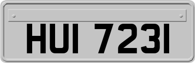 HUI7231