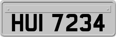 HUI7234