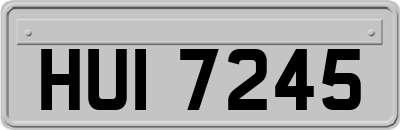 HUI7245