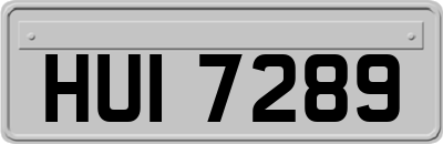 HUI7289