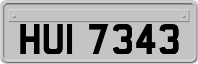 HUI7343