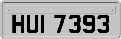 HUI7393