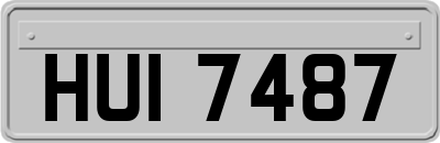 HUI7487