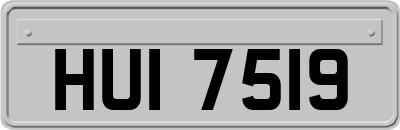 HUI7519