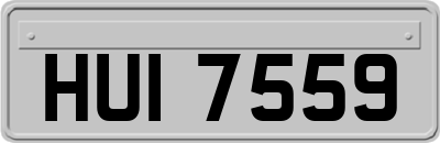 HUI7559