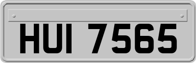 HUI7565