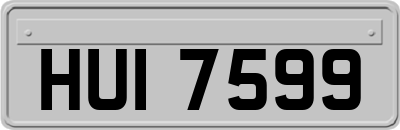 HUI7599