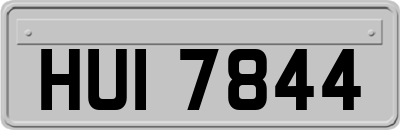 HUI7844