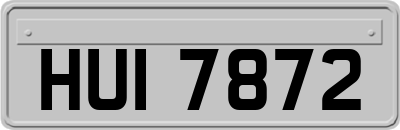 HUI7872