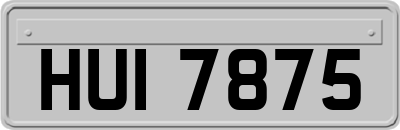 HUI7875