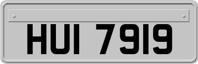 HUI7919