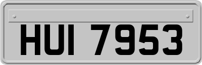 HUI7953